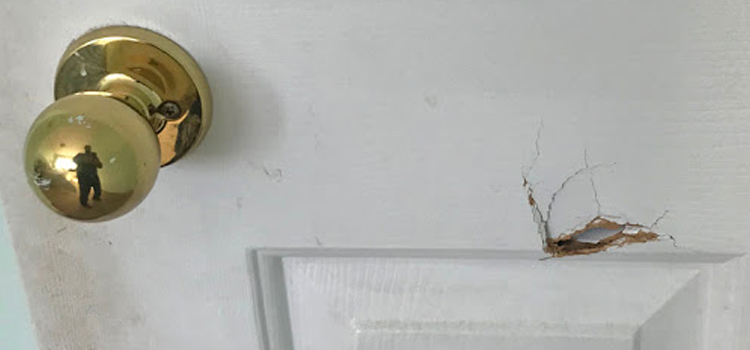 interior door hole repair Alamo