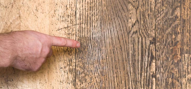 Wood Door Scratch Repair in Alamo